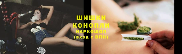 стаф Майский