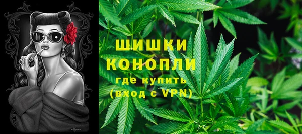 дживик Липки