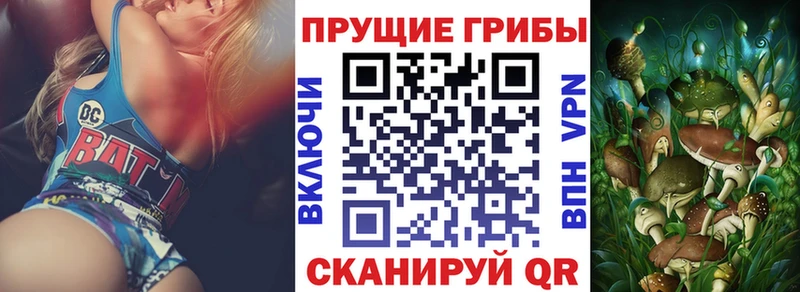Псилоцибиновые грибы ЛСД  Купить закладки  Владикавказ 